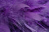 feather boa - feather trimming - purple