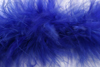 marabou feather trimming - light royal blue