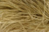 old gold thick ostrich feather boa