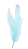 cocktail feathers - light aqua