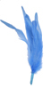cocktail feathers - medium blue
