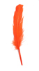 duck feathers - dark orange