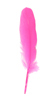duck feathers - hot pink