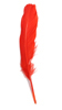 duck feathers - red