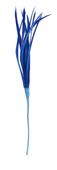 royal blue feather biot