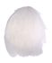 white small hackle pads