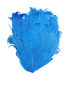 aqua blue feather pad