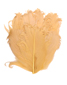 gold coffee feather pad