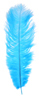 ostrich feathers small
