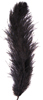 ostrich feathers black