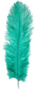 ostrich feathers emerald