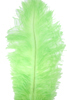 ostrich feathers lime green