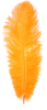 ostrich feathers light orange