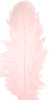 ostrich feathers light pink
