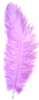 ostrich feathers light purple