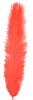ostrich feathers red
