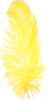 ostrich feathers yellow