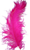 ostrich feathers dark hot pink