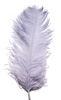silver grey ostrich feathers