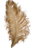 ostrich feathers old gold