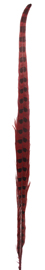 cherry dyed pheasant feathers