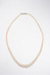 1 row pearl necklet Item no. 410/1 with graduated pearls